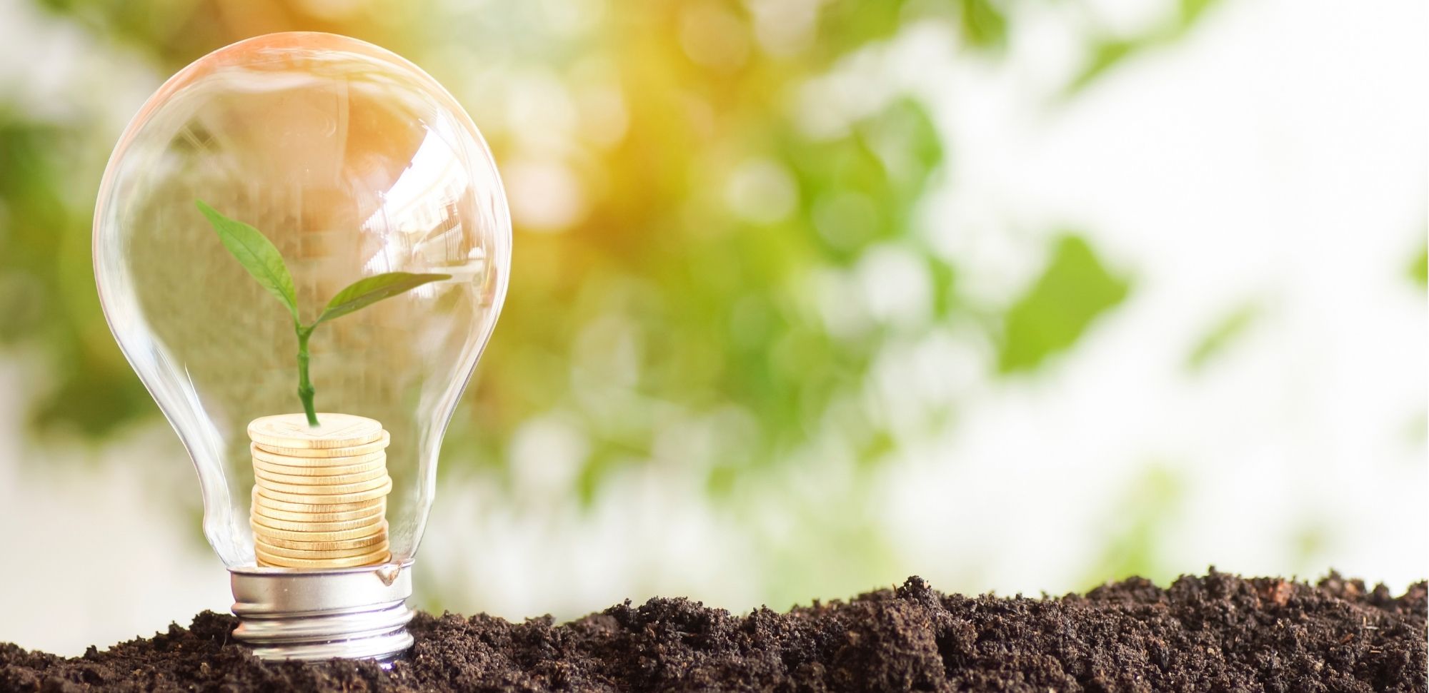 soluções sustentáveis para um mercado em transformação 